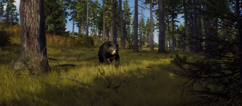 Way of the Hunter